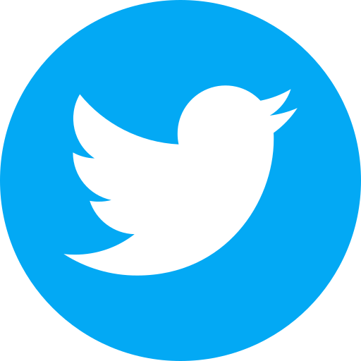 Ad Detail Twitter Icon