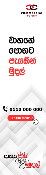 Top Banner Image 4