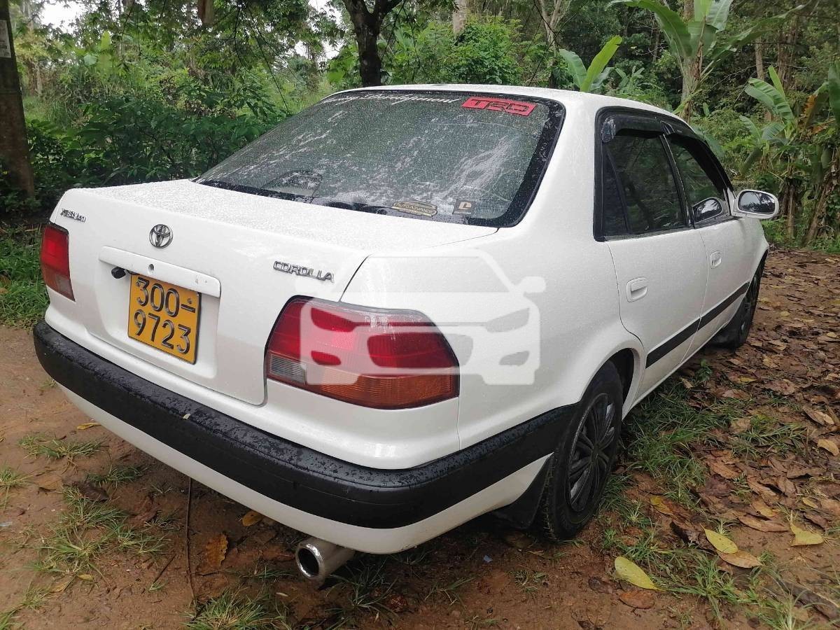 Slider Indicator Image 3