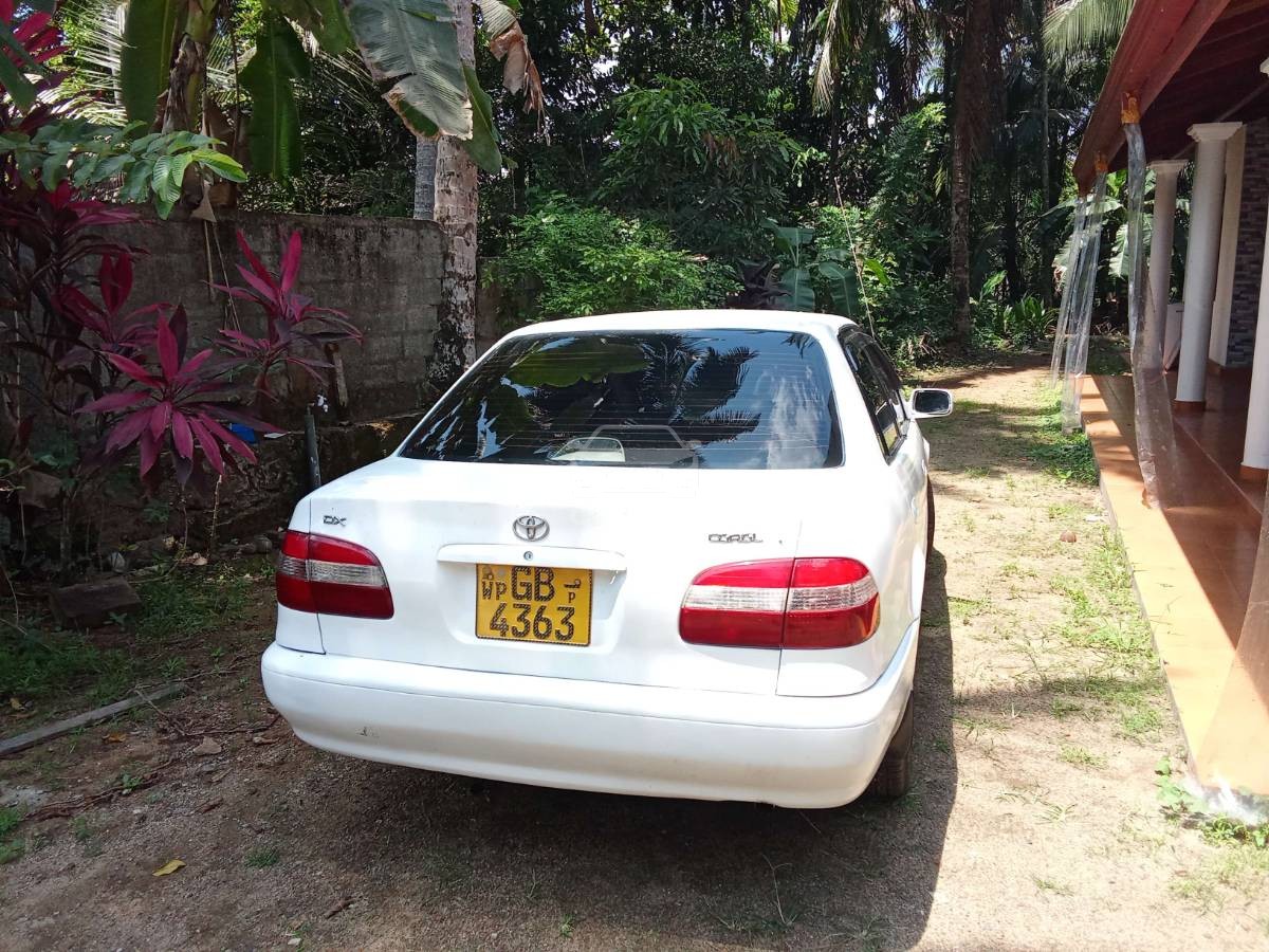 Slider Indicator Image 3