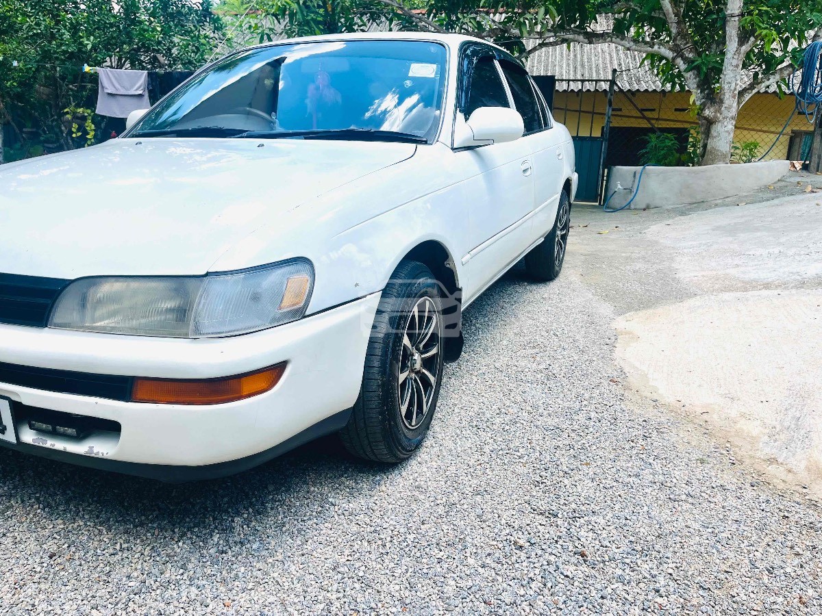 Slider Indicator Image 5