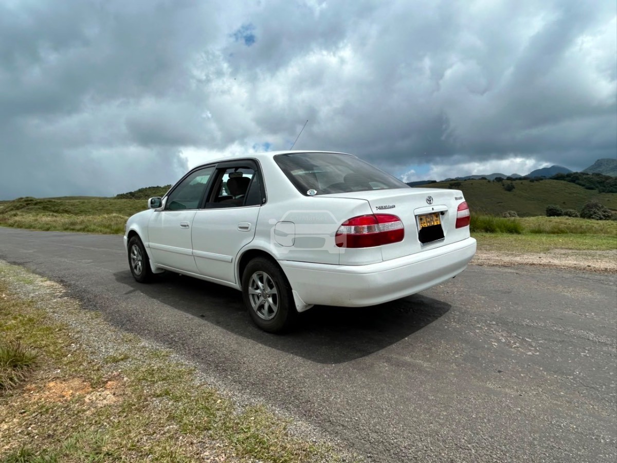 Slider Indicator Image 5